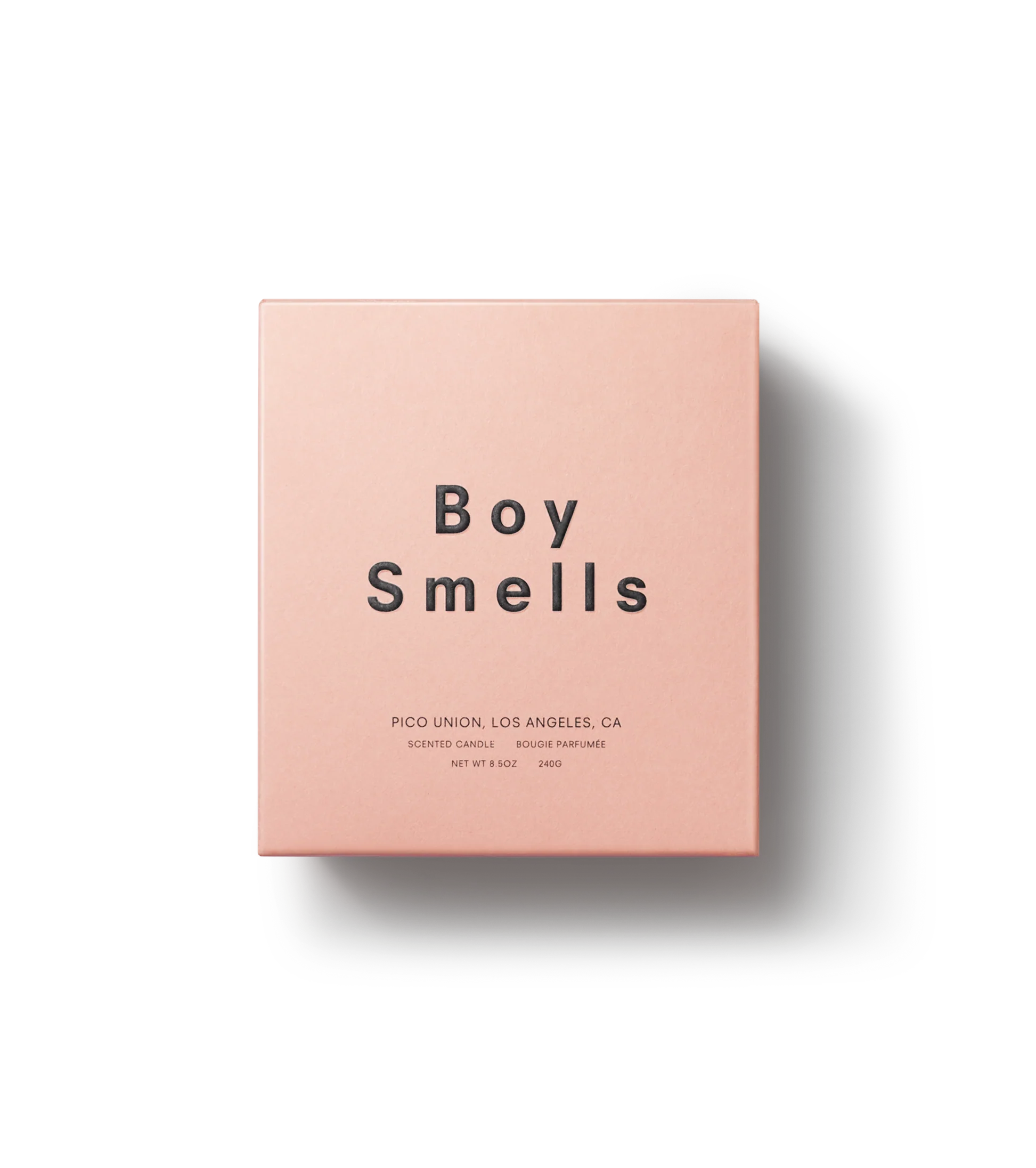 Boy Smells Ash - Image 2
